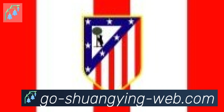 双赢彩票入口合作伙伴
